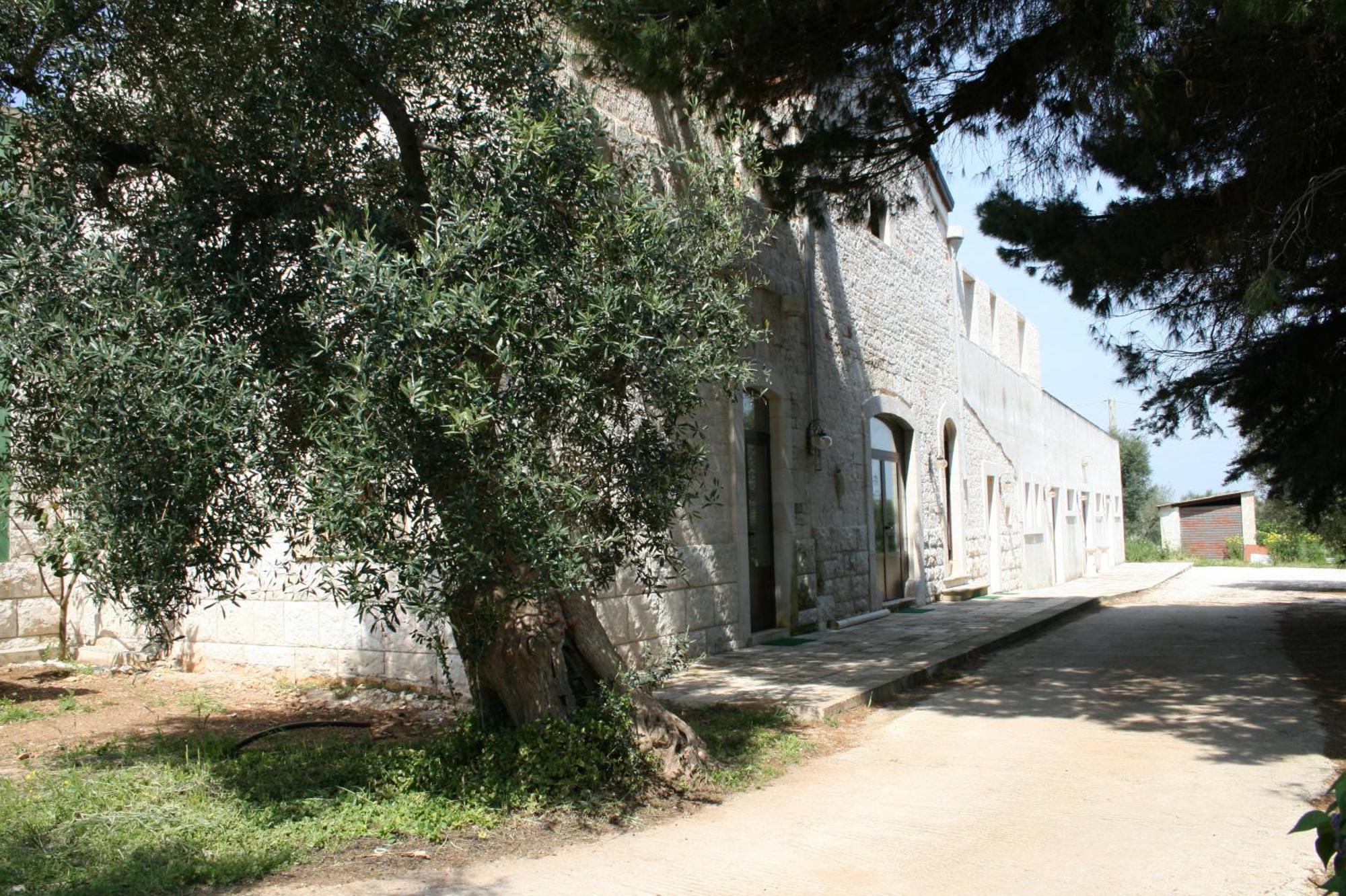 Masseria La Luna Nel Pozzo Castellana Grotte Kültér fotó