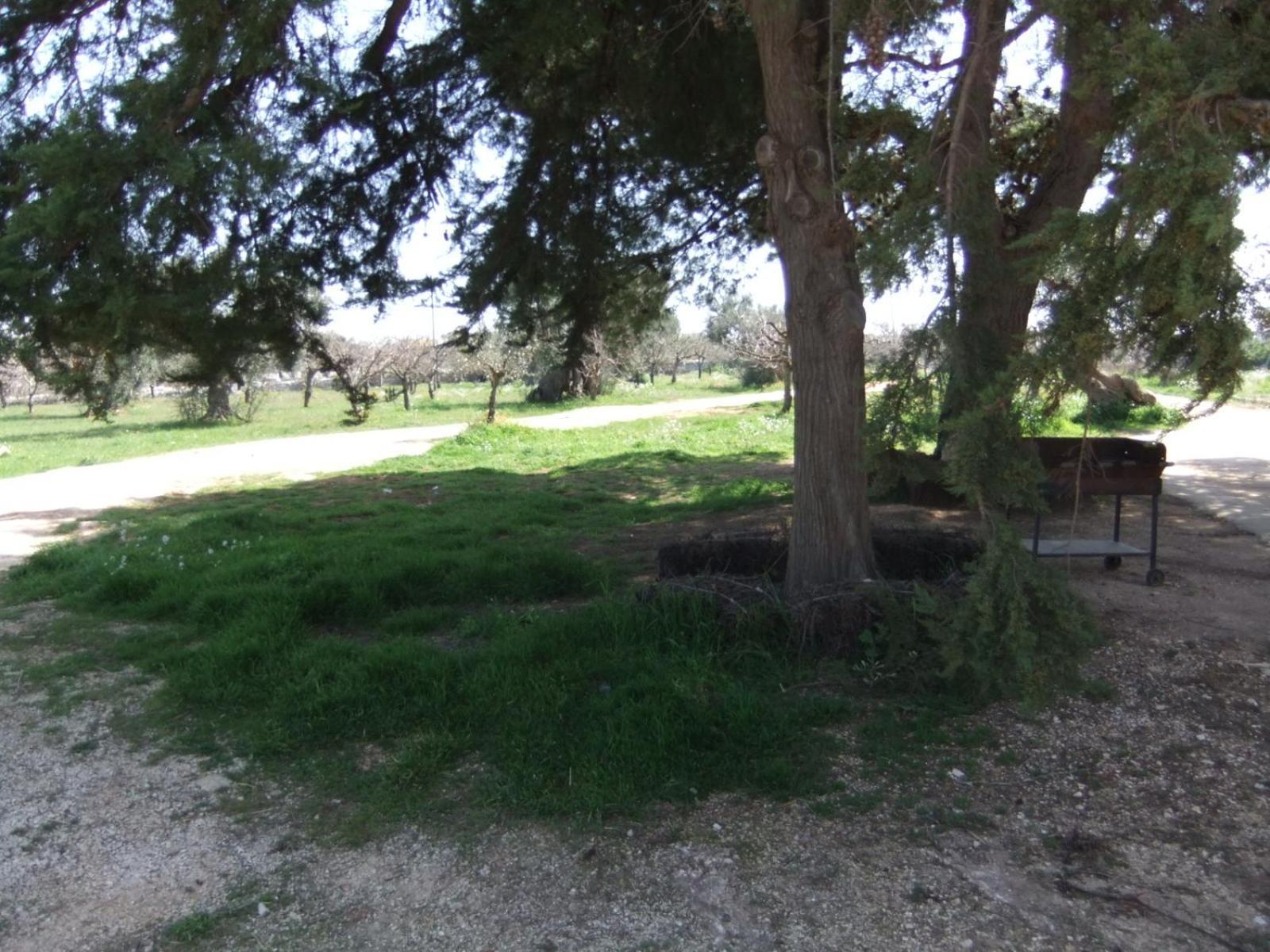Masseria La Luna Nel Pozzo Castellana Grotte Kültér fotó
